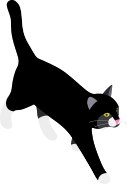 Fipi, schwarzer Kater mit weissen Socken, unterwegs zur nächsten Deadline